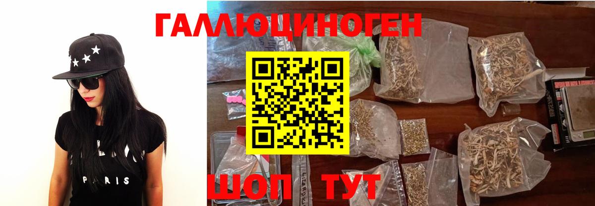 Псилоцибиновые грибы GOLDEN TEACHER Новоалександровск