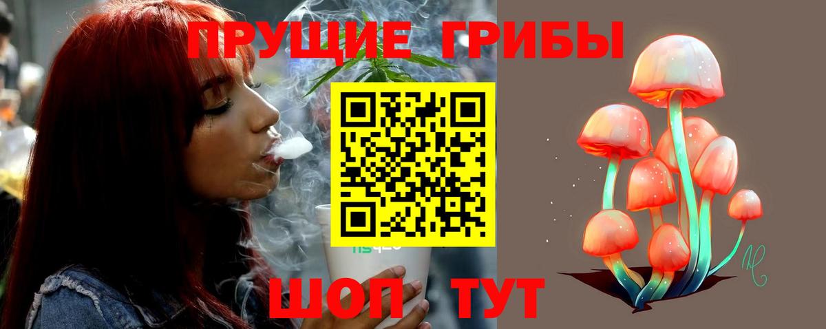 Новоалександровск  Галлюциногенные грибы мухоморы  Вход с VPN 